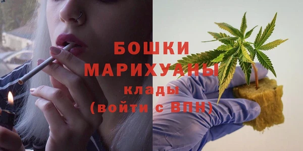 гидра Алзамай