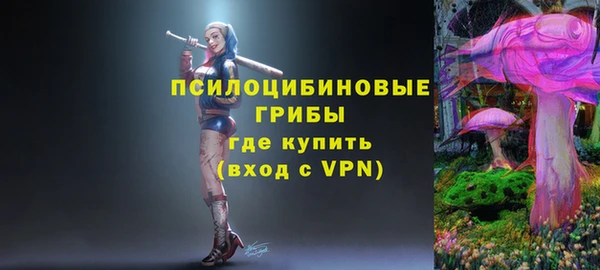дурь Алексин