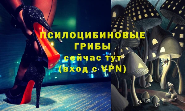гидра Алзамай
